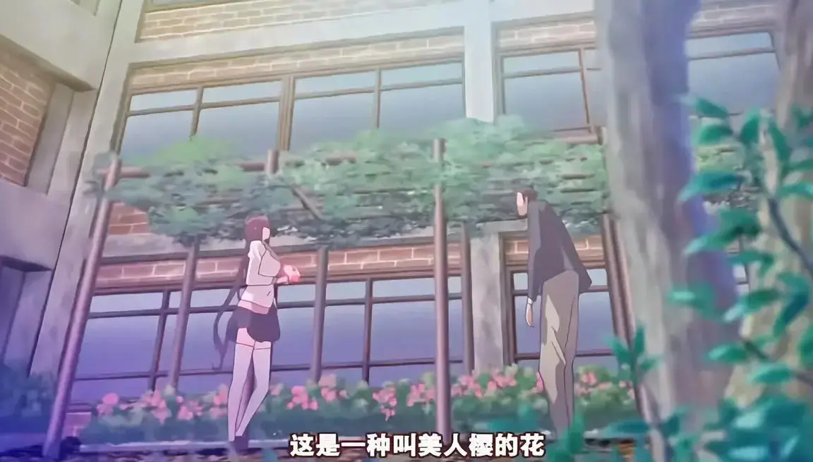 《龙堂寺士门的阴谋》未删减版！《龙堂寺士门的阴谋》全集高清在线看，这场战国密谋看得我头皮发麻！